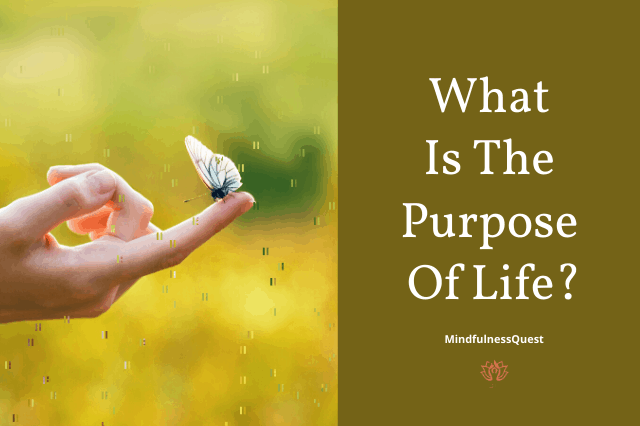 what is the purpose of life