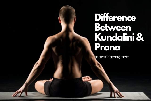 What Is The Difference Between Prana And Kundalini?