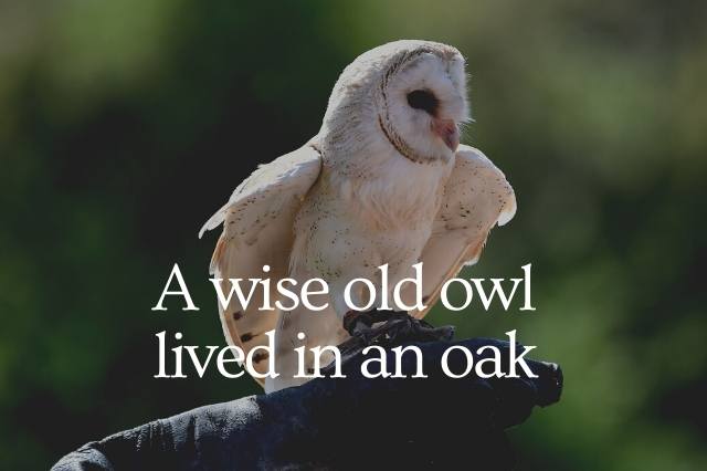A Wise Old Owl Lived In An Oak