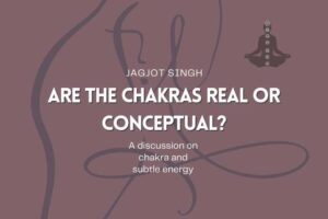 Read more about the article Are The Chakras Real or Conceptual?