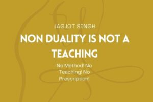 Read more about the article Non Duality Is Not a Teaching: No Method! No Path! No Prescription!